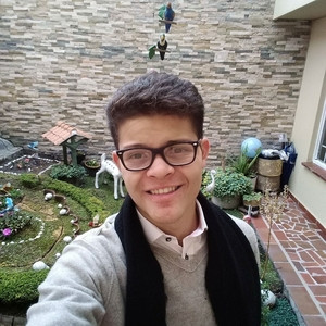 David - profesor de historia - Bogotá