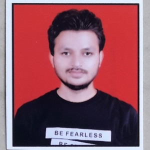 Rohit - Computer programming tutor - 