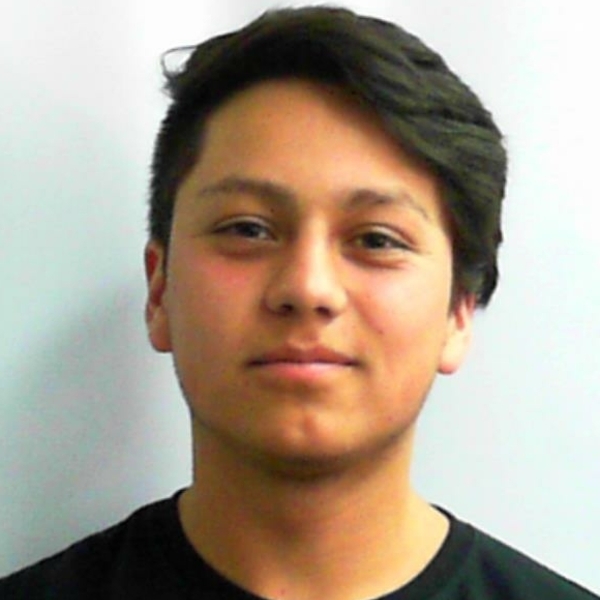 Vicente - profesor de programación - Las Condes