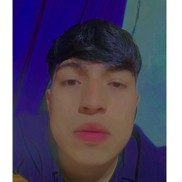 Pietro - Profe de HTML - San Vicente