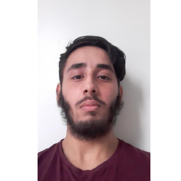 Mustafizr - Computer programming tutor - Walsall