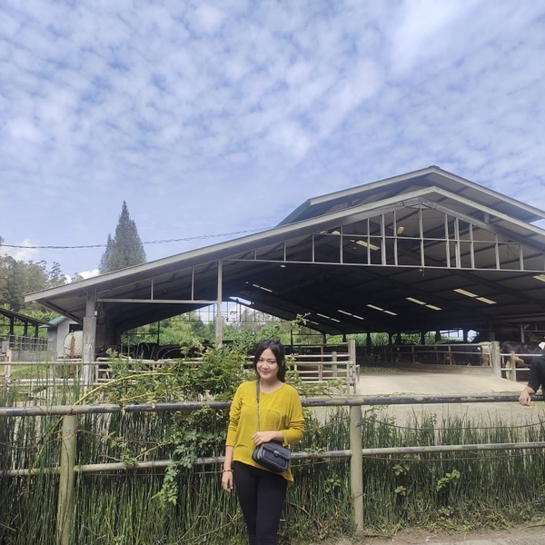 Vika - Guru farmasi - Kecamatan Medan Sunggal