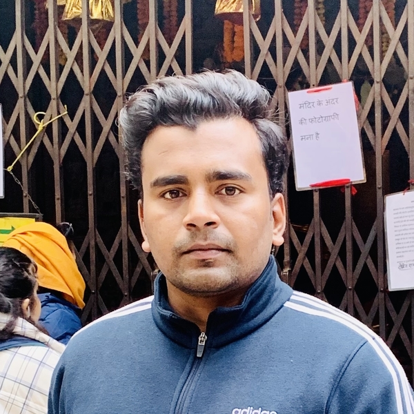 Rahul - Accounting tutor - New Delhi