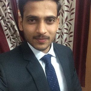 ANKIT - Accounting tutor - New Delhi