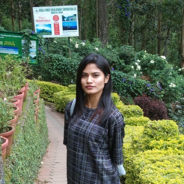 Cinderella - Guitar tutor - Chennai