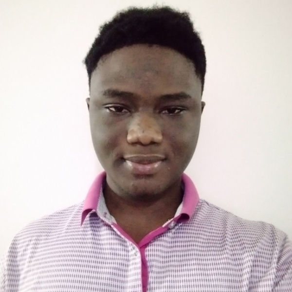 Albert - Mathematics tutor - New York