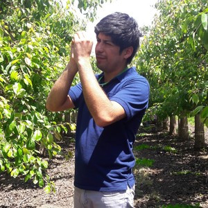 Fernando - Profesor de ingeniería - Rinconada de Idahue