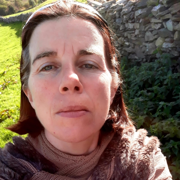 Ann - English tutor - Westport