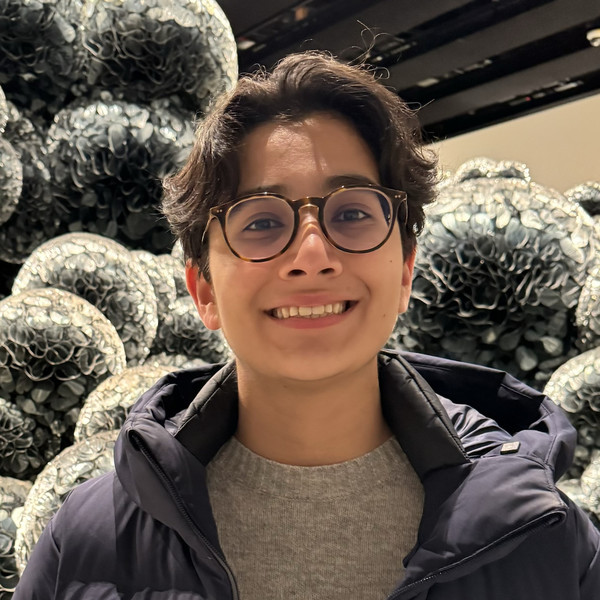 Anousheh - Java tutor - Harrow