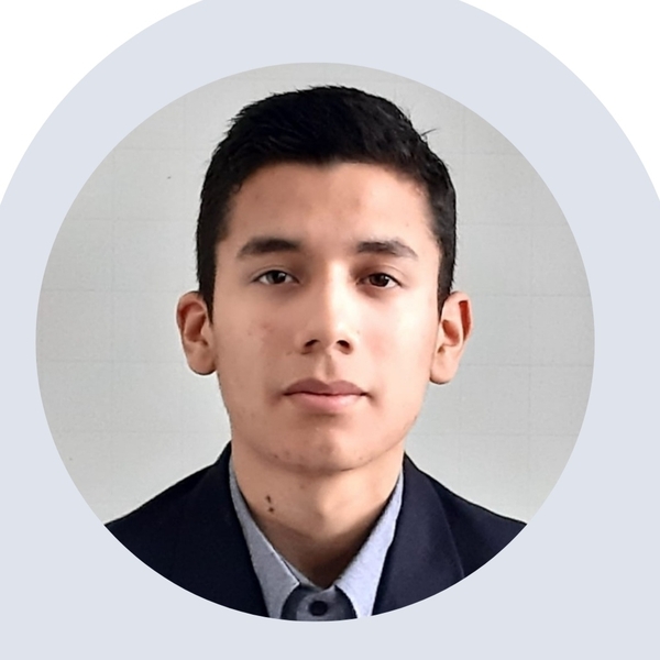 Guillermo - profesor de matemáticas - Lima