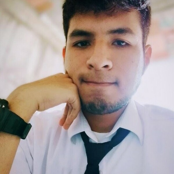Armando - Profesor de apoyo escolar - Lima