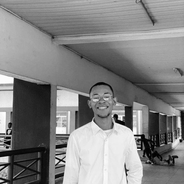 Echekwu - Maths tutor - Lagos