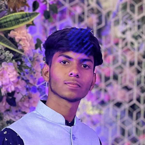 Ronak - English tutor - Chandigarh
