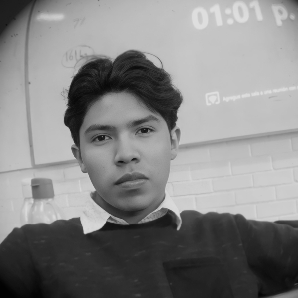 Fernando - Profe de matemáticas - Xalapa-Enríquez