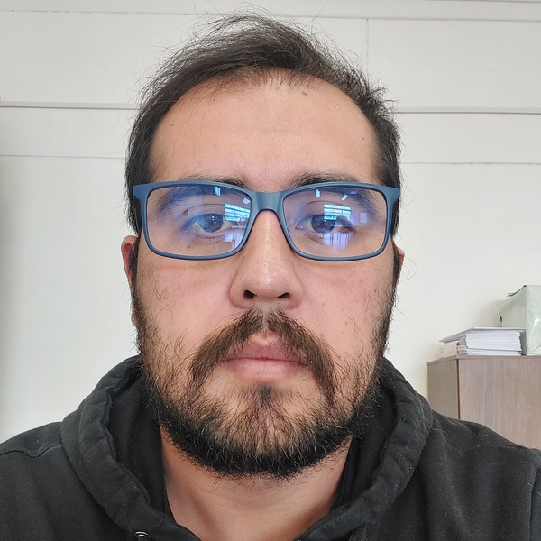 Luis - Profesor economía - Punta Arenas
