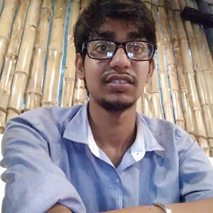 ASHISH - Programming languages tutor - 