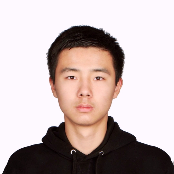 Frank - Chinese vocabulary tutor - Marrickville