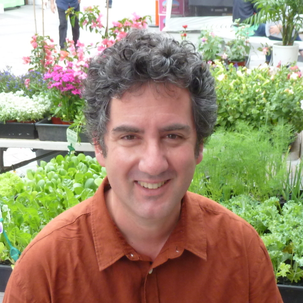 Cristoforo - Italian tutor - Normanhurst
