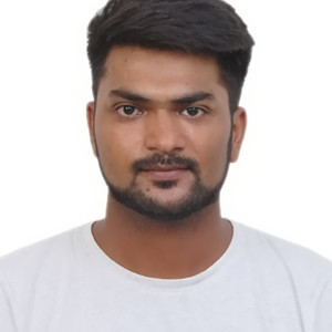 Rahul - Physics Tutor - Chandigarh