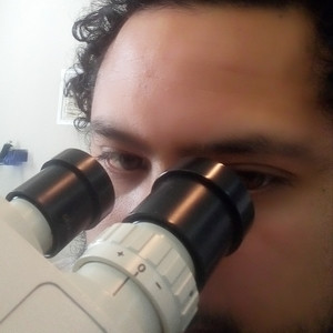 Sebastian - profesor de prueba de admision universitaria - Lo Barnechea