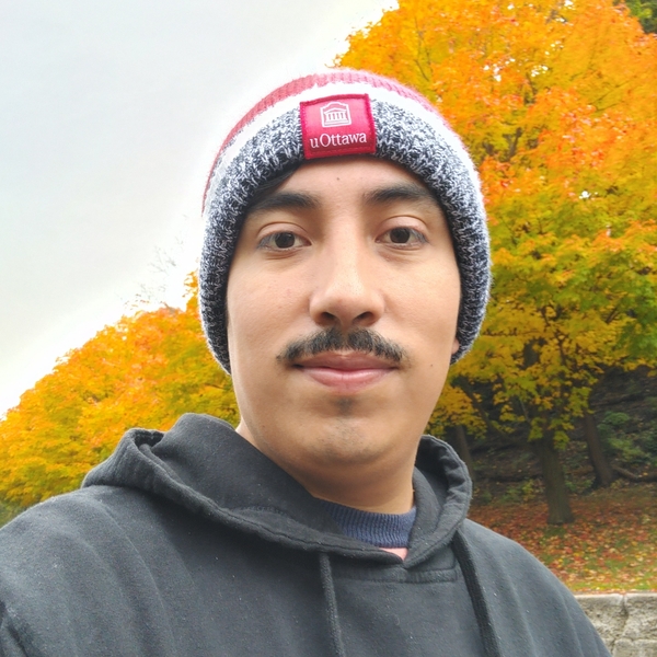 ArtMayel - Profe de inglés - Ciudad de México