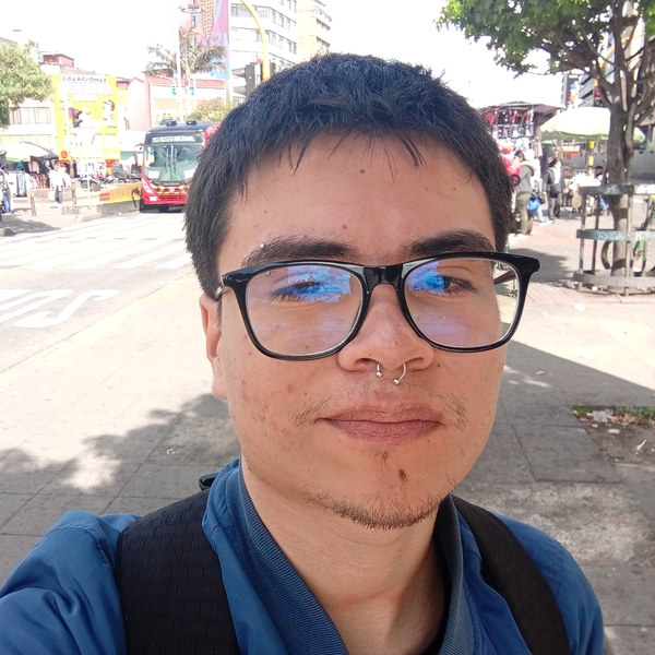 Jeisson José - Profesor de reforzamiento escolar - Bogotá