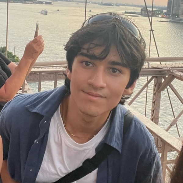 Oshin - Math tutor - London