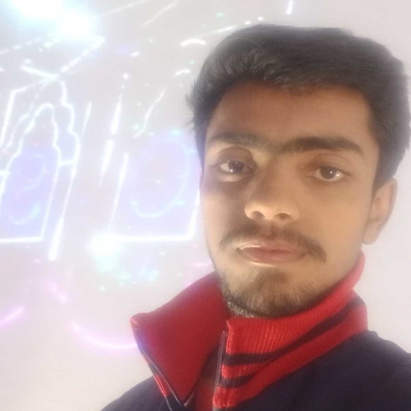 Mohd Hamza - Python tutor - Lucknow