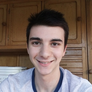 Teo - Prof de maths - La Chapelle-Saint-Ursin