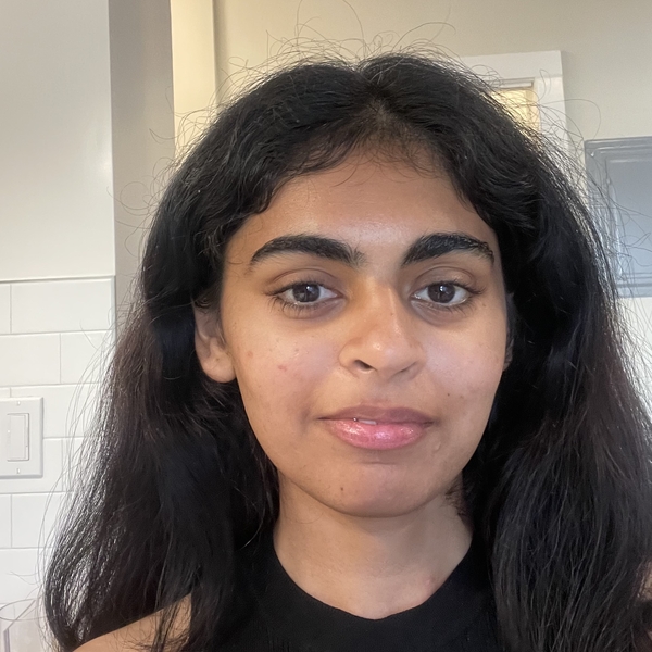 Roshni - Computer programming tutor - Austin
