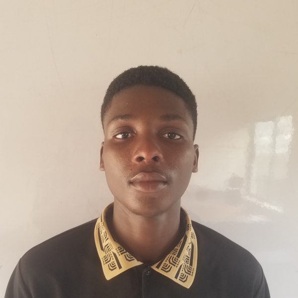 Victor - Mathematics tutor - New York