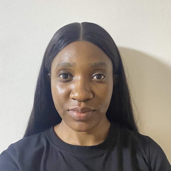 Chinwenmeri - Data analysis tutor - Enugu