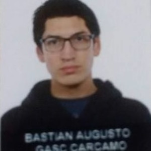 Bastian - profesor de química - Cauquenes