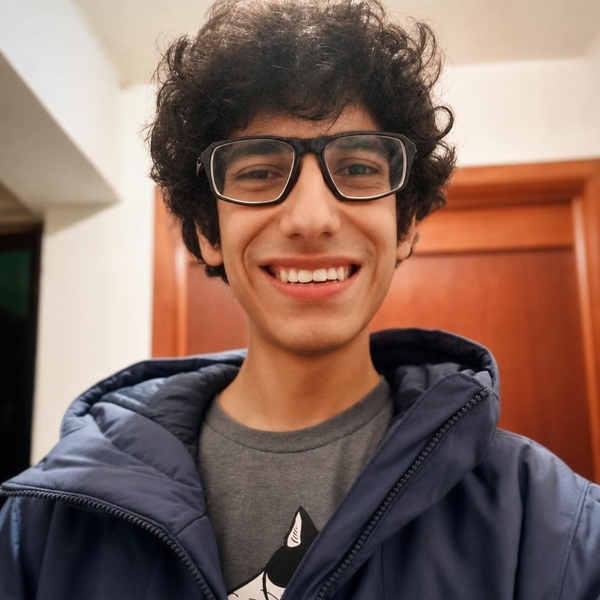 Luis - Maths tutor - Chicago