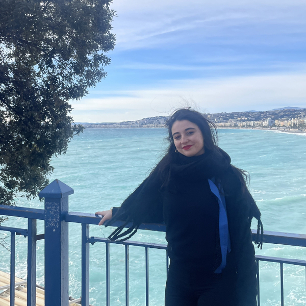 Nesrine - Prof d'arabe - Woluwe-Saint-Lambert