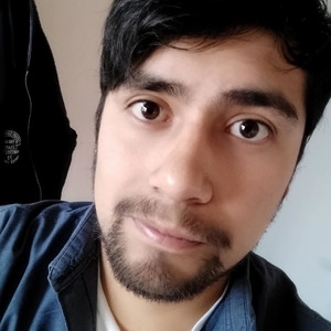 Luis Angel - profesor de programación - Pachuca de Soto