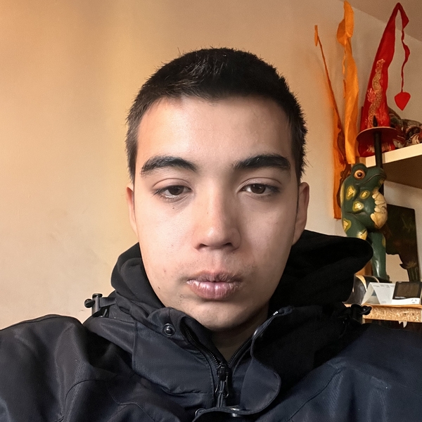 Francois - Computer programming tutor - Toronto