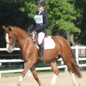 Jocya - Prof d'équitation - Troyes