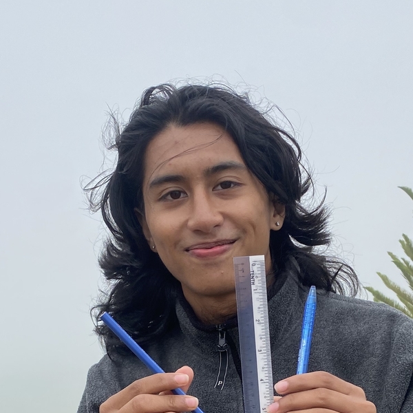 Shaarivin - Maths tutor - Kota Kinabalu