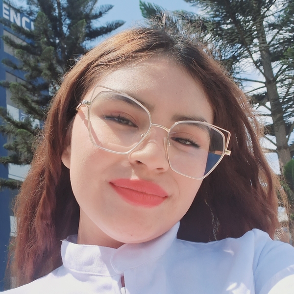 ANA - profesor de español para extranjeros - Lima