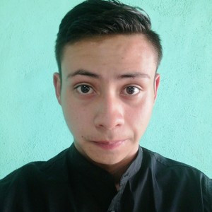 Alex - profesor de inglés - Aguascalientes