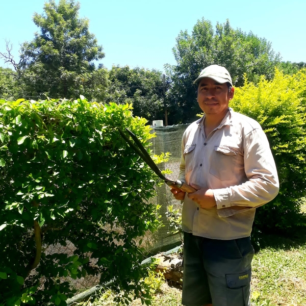 Gustavo - Profe de jardinería - San Miguel