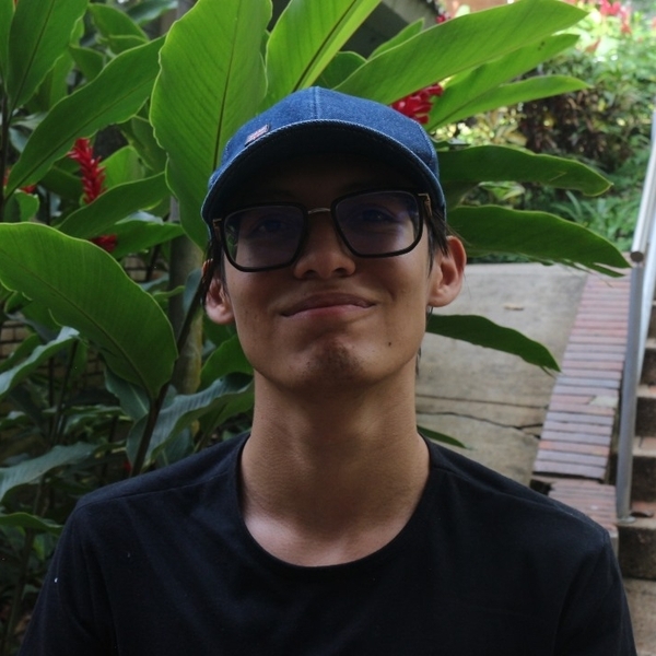 DAVID ALEJANDRO - Profesor de ingeniería - Bucaramanga