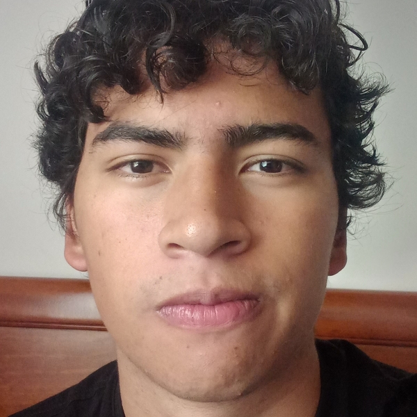 Mateo - Profesor de matemática - 
