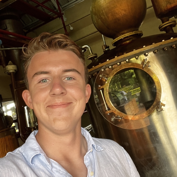 David - Lehrkraft für Deutsch als Fremdsprache - München