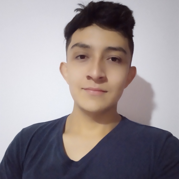 Cristian - Prof HTML - Bogotá