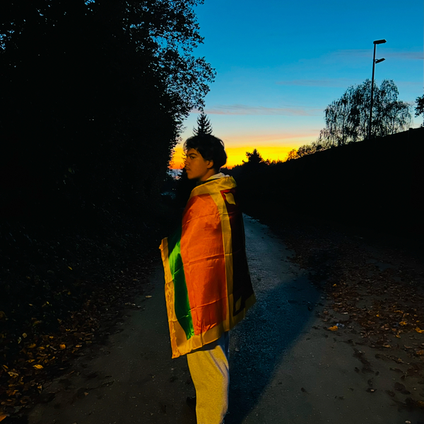 Nitin - Prof d'anglais - Genève