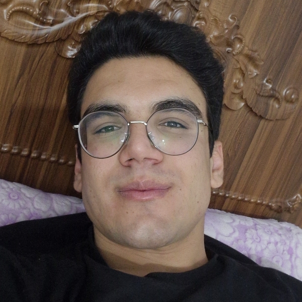 Amir - Maths tutor - Los Angeles