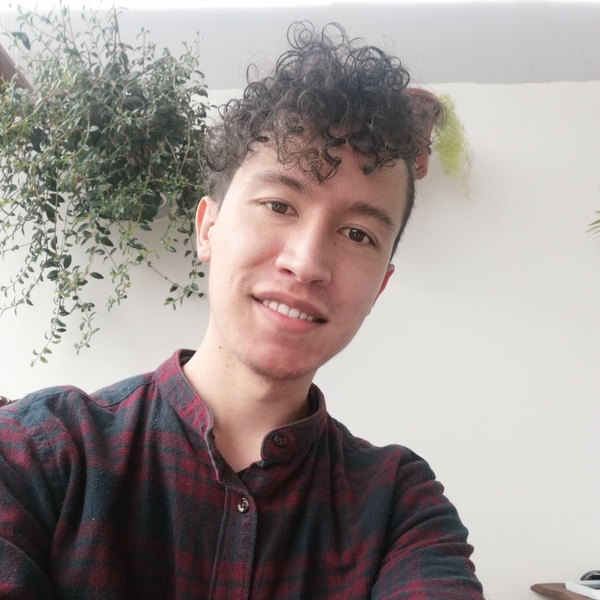 Andrés - Profe de inglés - Facatativá
