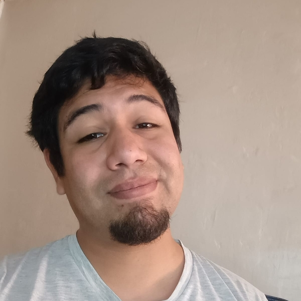 Maicri - Profesor de diseño web - Iquique
